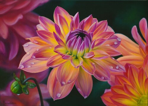 Flowers  painting Orange dahlia de Iryna Buivolova, Pintura a la venta en Singulart