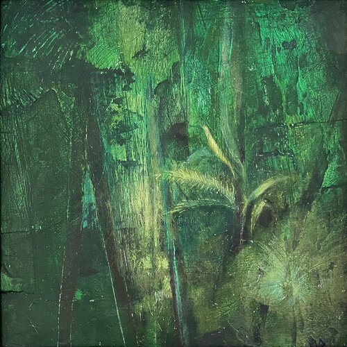 A Bird in the Rainforest Michèle Griffiths