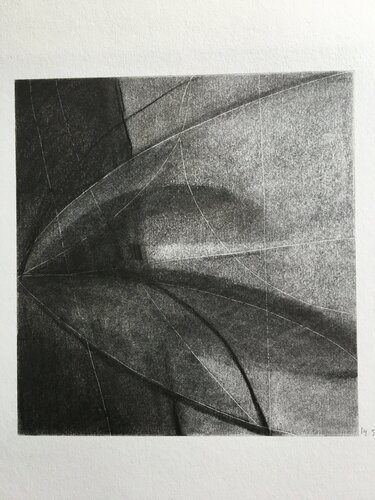 Flower di Michèle Griffiths, Opera su carta in vendita su Singulart