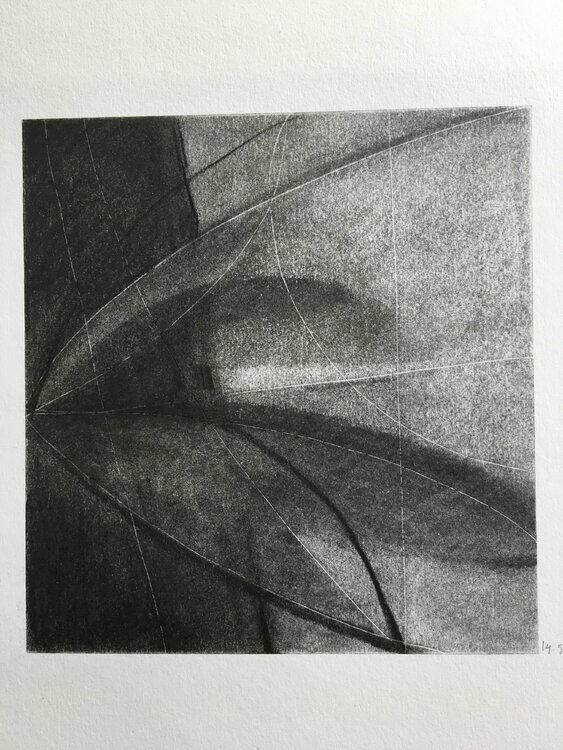 Flower Michèle Griffiths