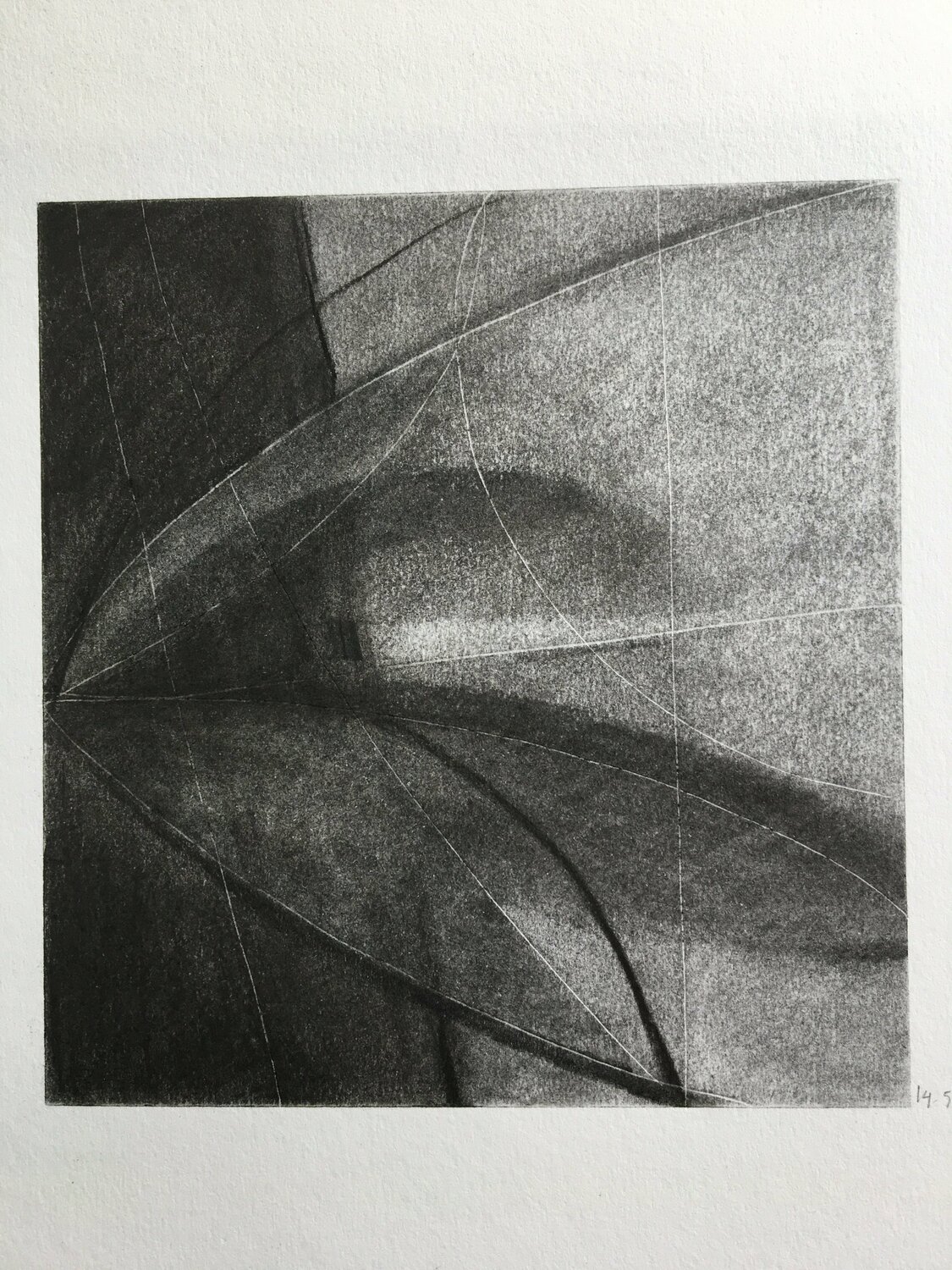 Flower Michèle Griffiths