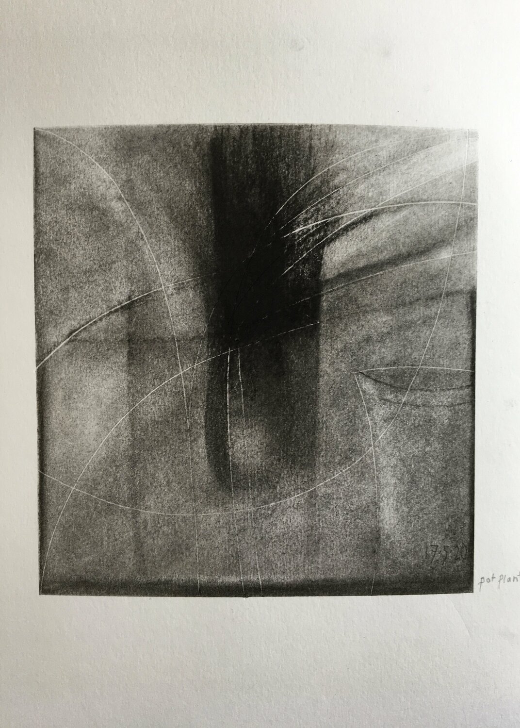 Pot Plant Michèle Griffiths
