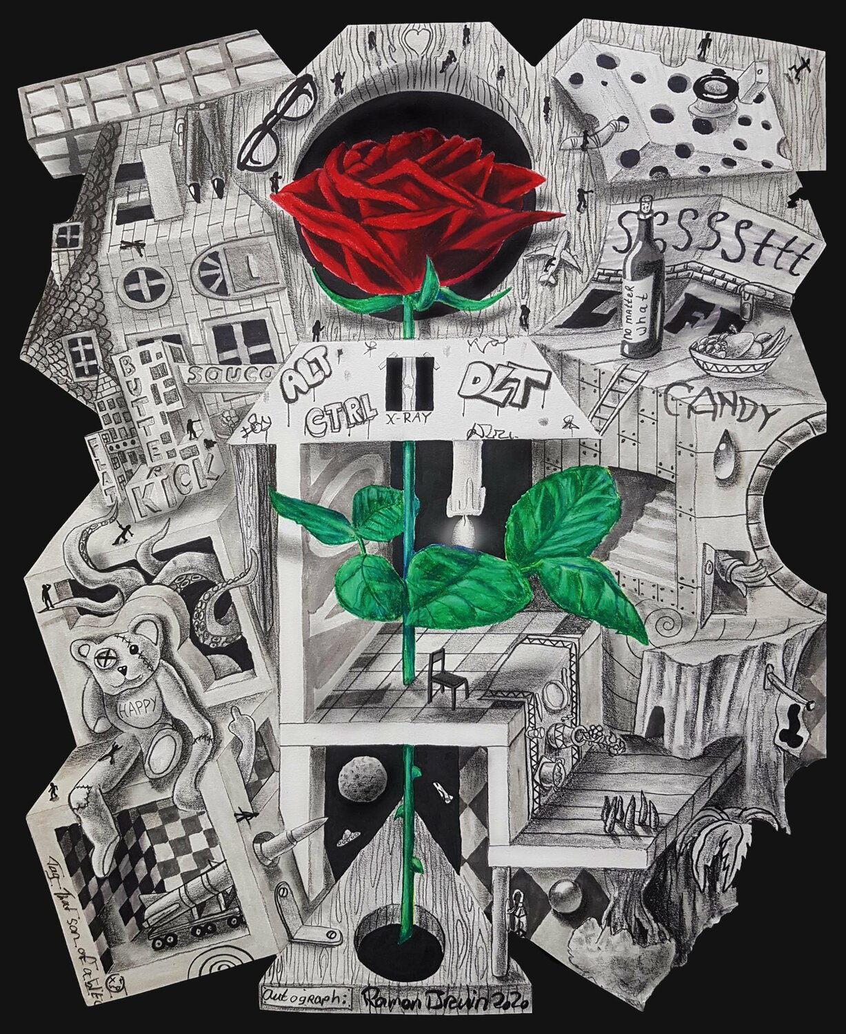 X-Ray Rose Ramon Bruin