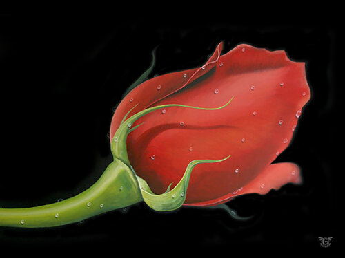 Red Rose - Canvas - Giclee Print Limited Edition de Gardani, Impresión a la venta en Singulart