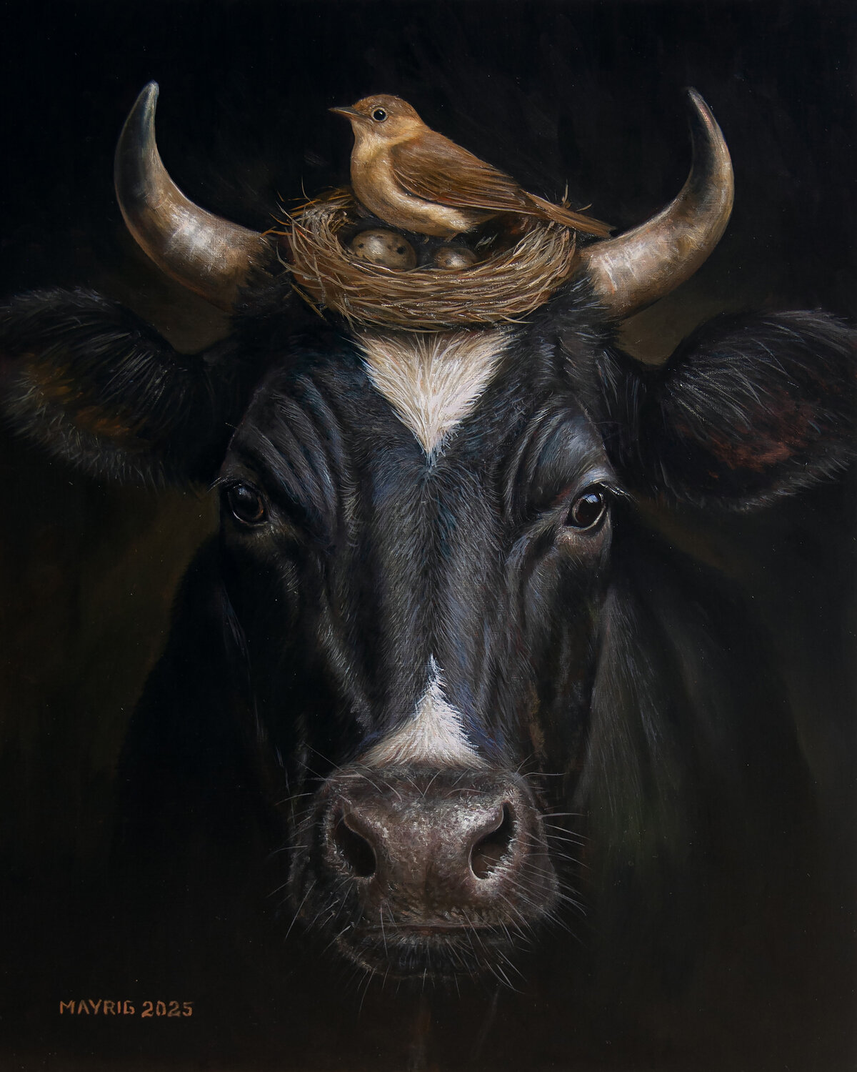 Cow Bird Mayrig Simonjan