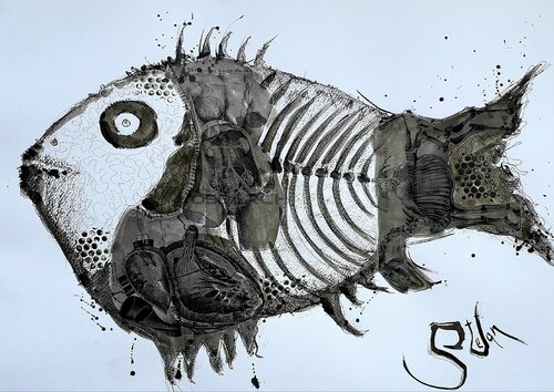 Anatomy of fish van Stefan Dimovski, Tekening te koop op Singulart