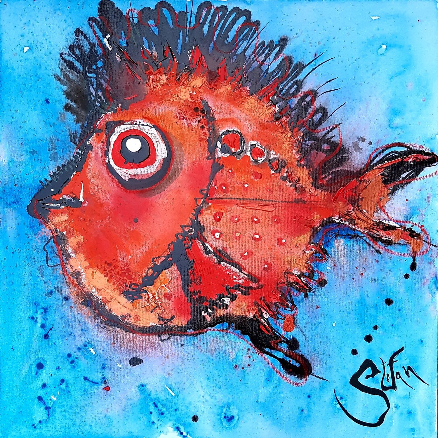 Red Punker Stefan Dimovski