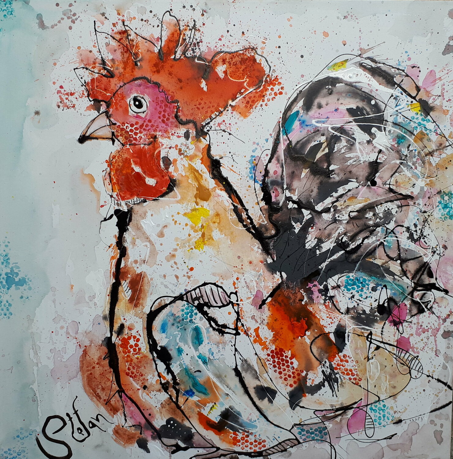 Rooster Stefan Dimovski