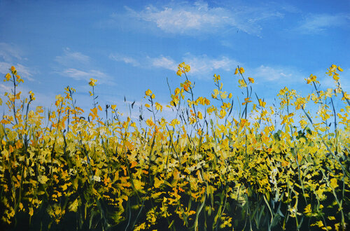 Canola Field in Ukraine de Valeria Radzievska, Pintura a la venta en Singulart