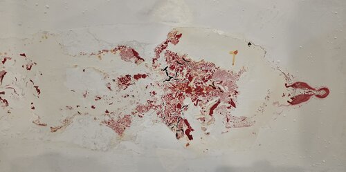 Y Matter - Void di Ted Barr, Pittura in vendita su Singulart