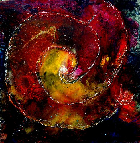 DS Andromeda Galaxy Ted Barr