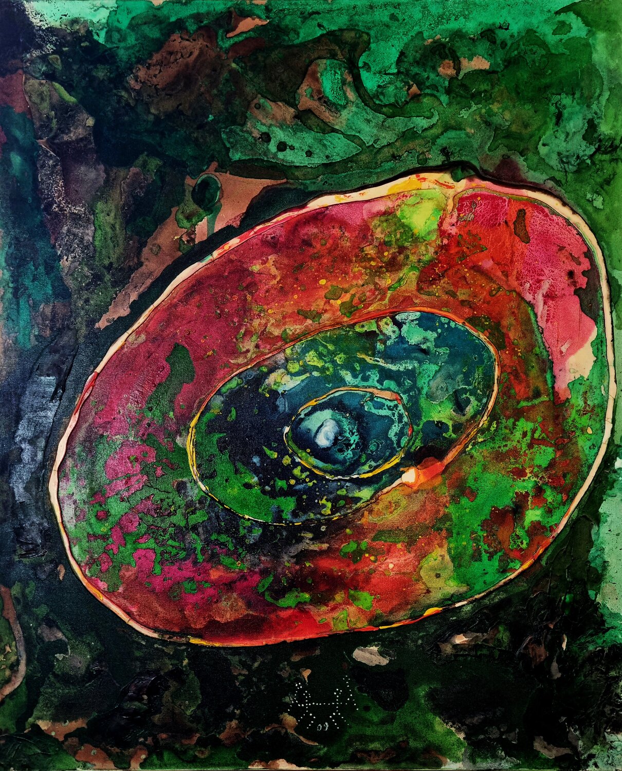 The Cartwheel Galaxy Ted Barr