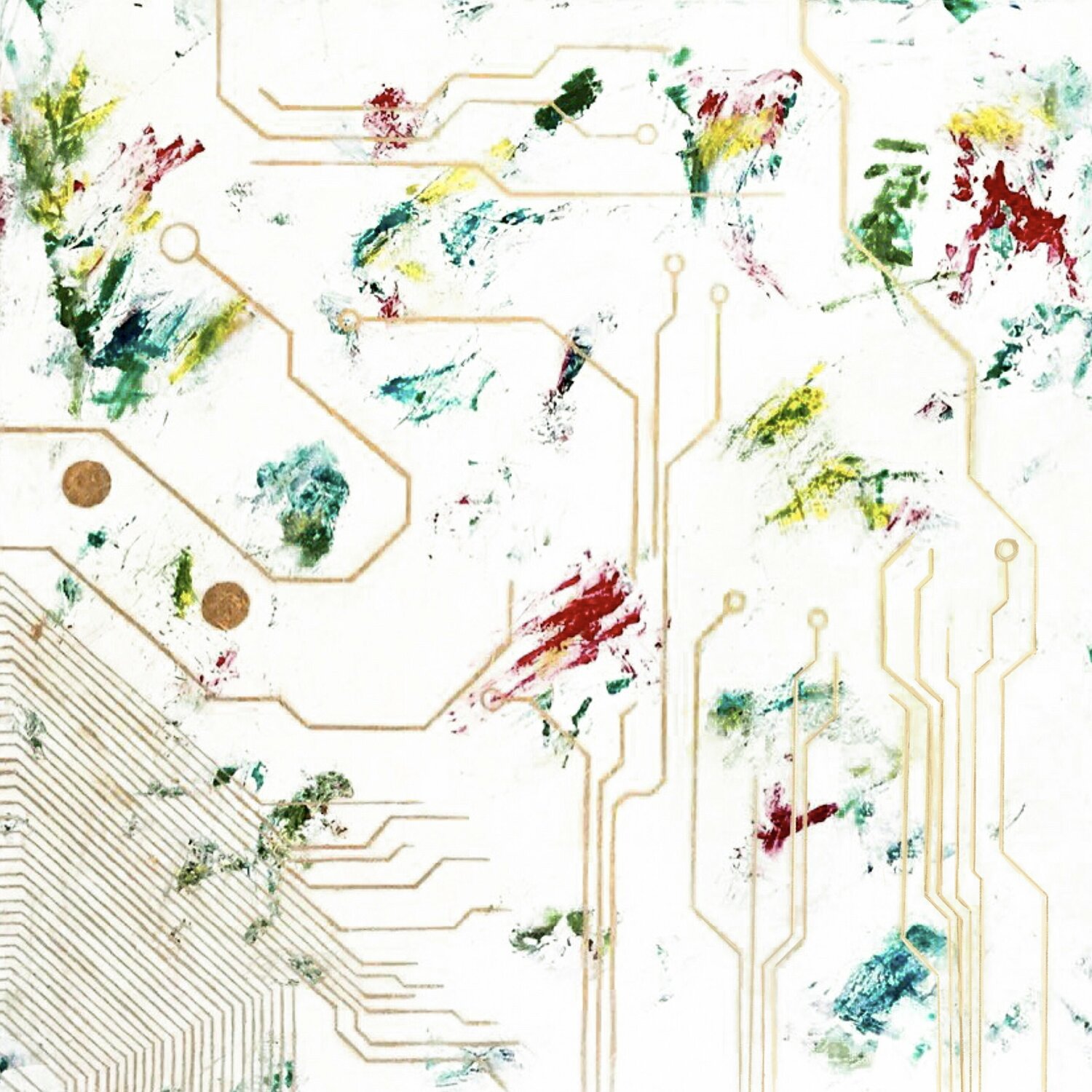 Memoria da terra (Brazil) Natacha Ivaldi