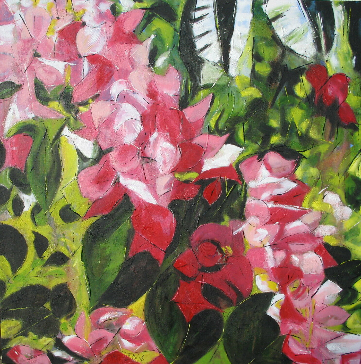 "Big red fall" (bougainvilliers) Barbara Piatti