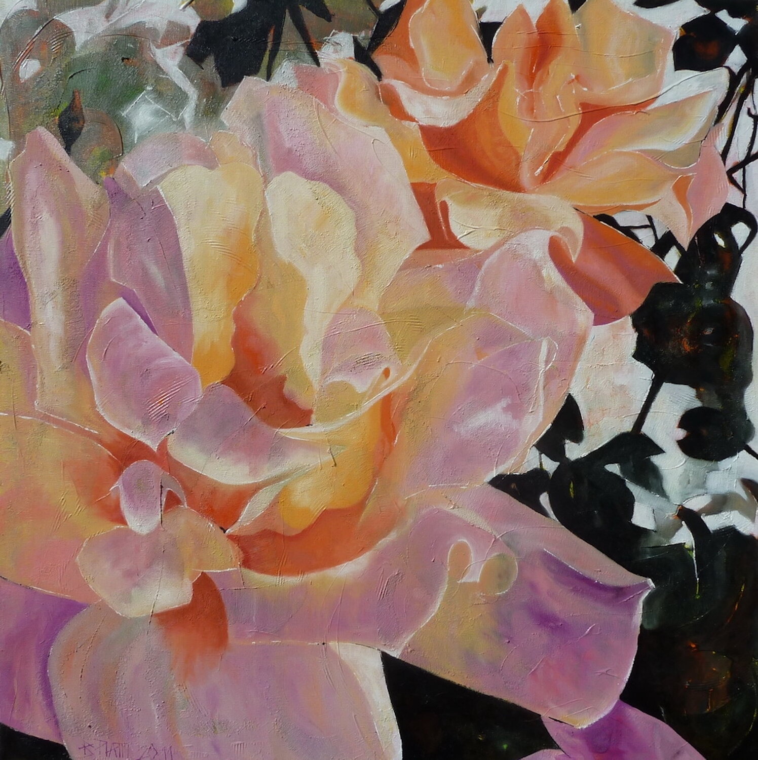 "Roses roses" Barbara Piatti