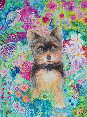 Yorkshire terrier van Oxana Zaika, Werk op papier te koop op Singulart