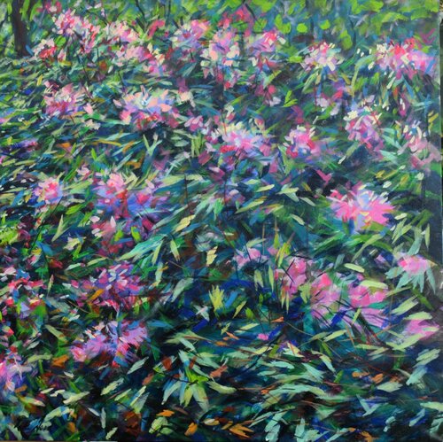 Late afternoon Rhododendrons Peter Wood