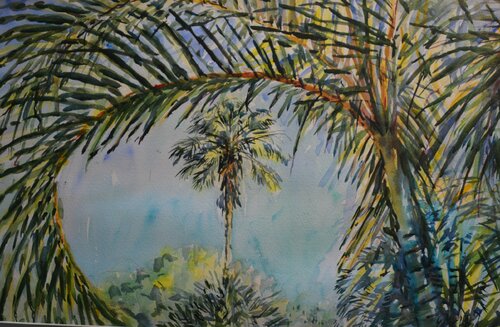 33. Palm leaves Florida. Watercolour. 20” x 29” von Peter Wood, Werk auf Papier kaufen auf Singulart