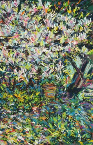 Magnolias in my garden en plein air. by Peter Wood, Work on Paper for Sale on Singulart