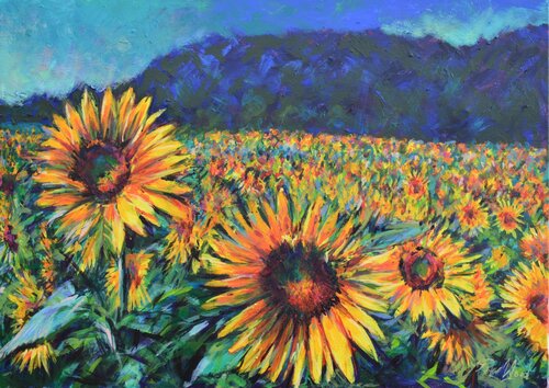 Creuse Sunflowers van Peter Wood, Schilderij te koop op Singulart
