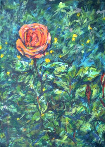 Orange Rose 12 x 16 van Peter Wood, Schilderij te koop op Singulart