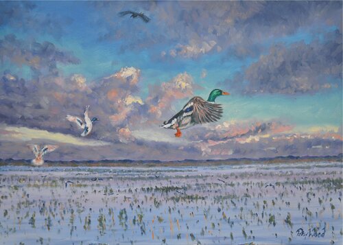 Mallards rising von Peter Wood, Malerei kaufen auf Singulart