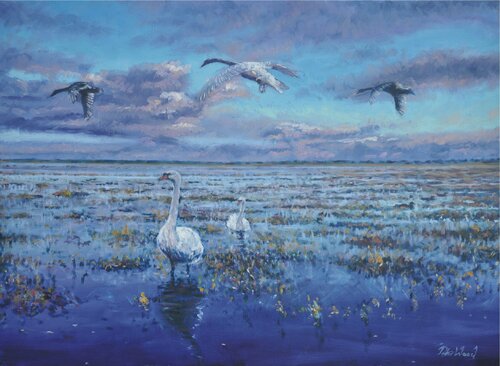 Swans at flood. von Peter Wood, Malerei kaufen auf Singulart