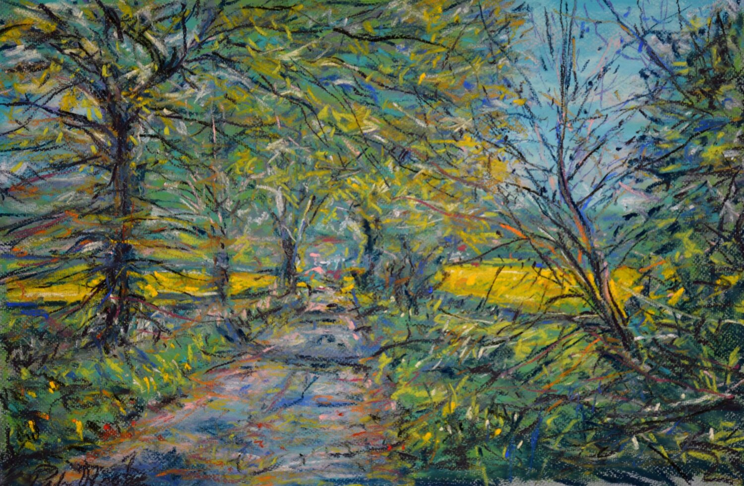 North Carr Lane Peter Wood