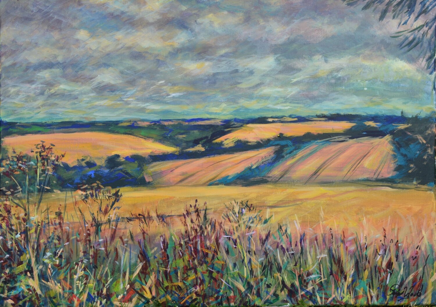 Wiltshire Wheat - afternoon light Peter Wood