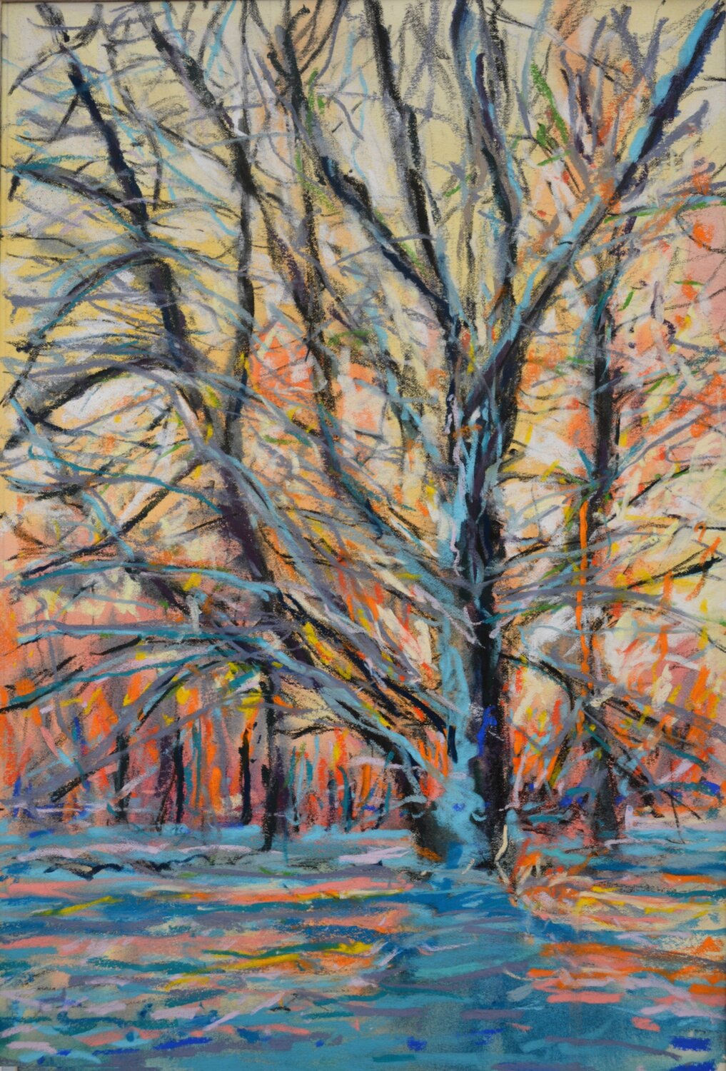 Sunset behind laced branches Peter Wood