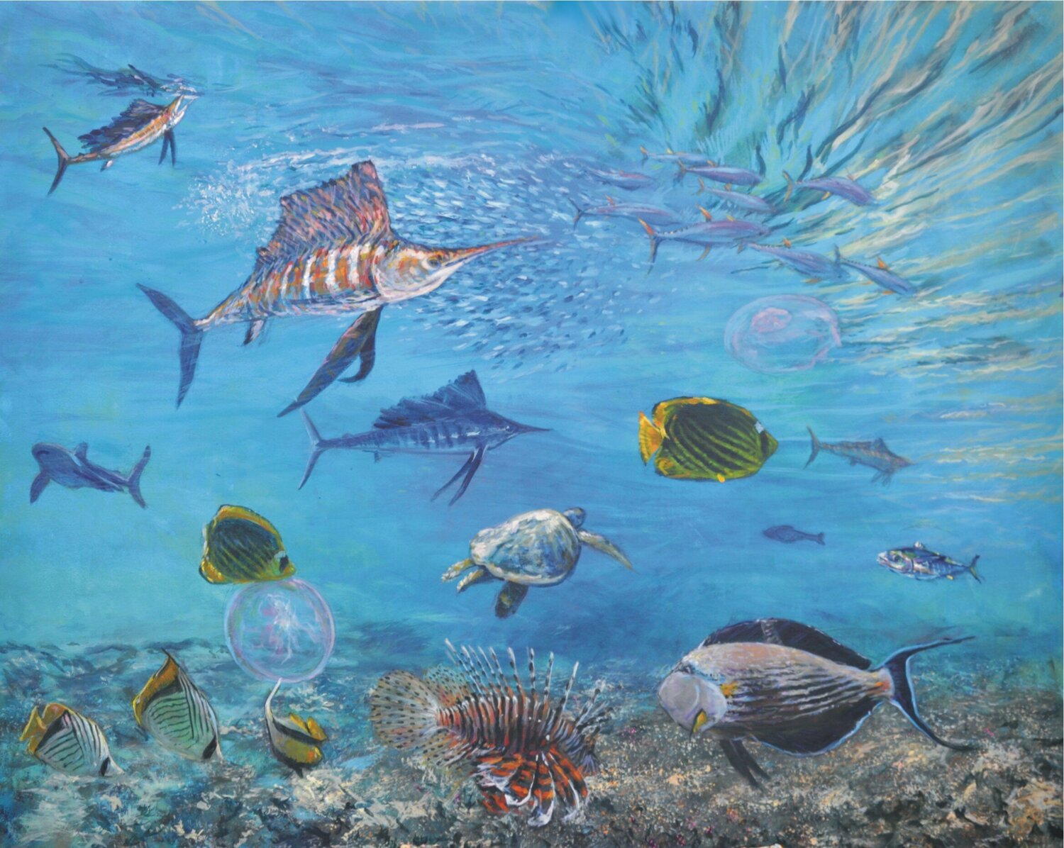 Sailfish Peter Wood