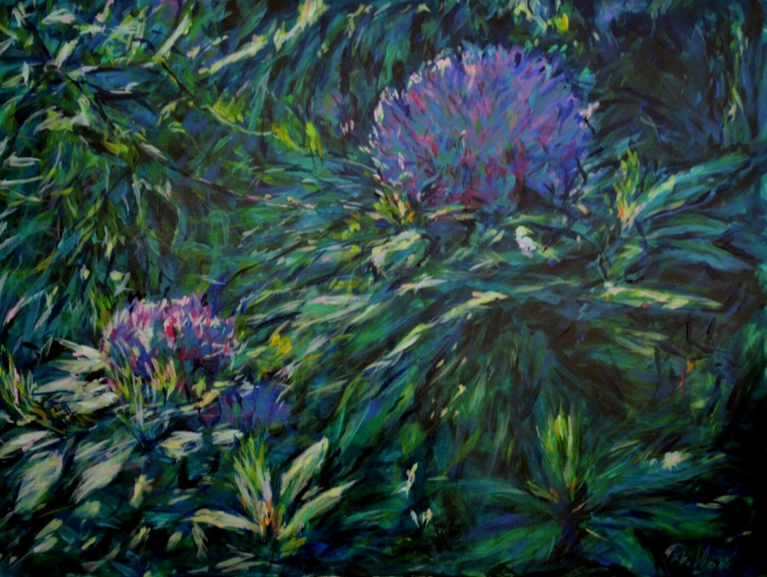 Rhododendrons 4 Peter Wood