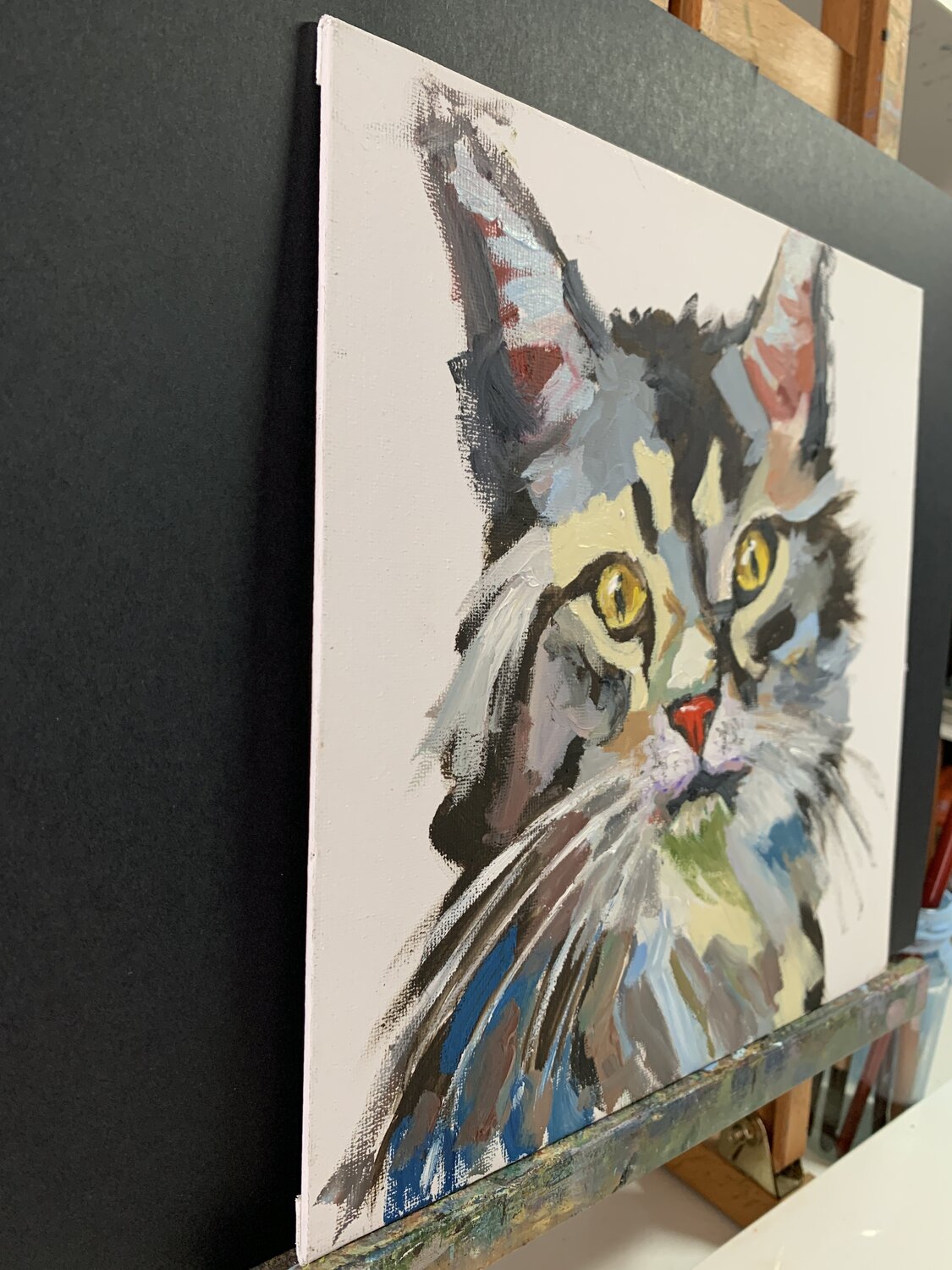 Waarom vindt mijn kat het leuk als ik hem HEEL hard aai? : r/cats, image size:1125x1500