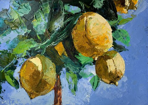 Lemon Tree. Vita Schagen