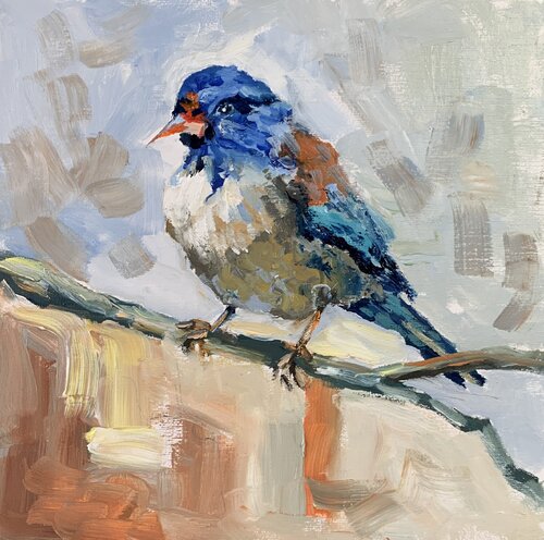 Bird. Vita Schagen
