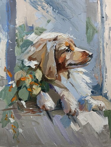 Dog with the flowers. Long-haired dachshund. di Vita Schagen, Pittura in vendita su Singulart