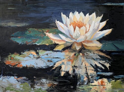 Waterlily's Lullaby. Vita Schagen