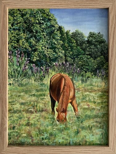 Landscape. Horse in the field. van Vita Schagen, Schilderij te koop op Singulart
