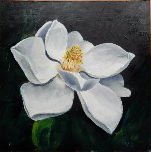 Magnolia flower, framed painting Vita Schagen