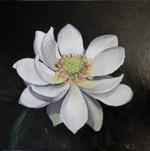 Magnolia flower. (2) framed painting Vita Schagen