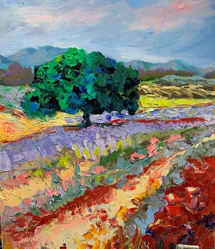 Lavender field. Landscape. Vita Schagen