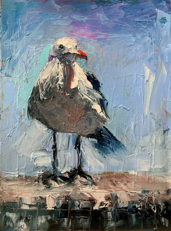 Seagull Bird. palette knife, impasto. Original oil painting. Vita Schagen