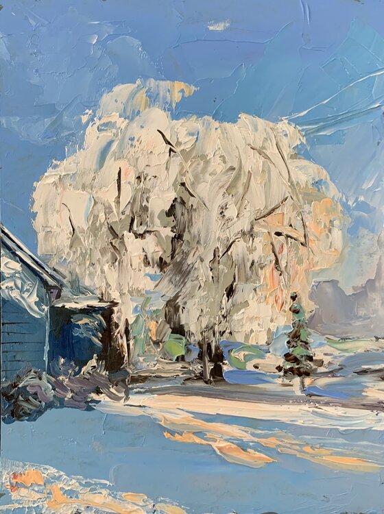 Winter Landscape. Vita Schagen