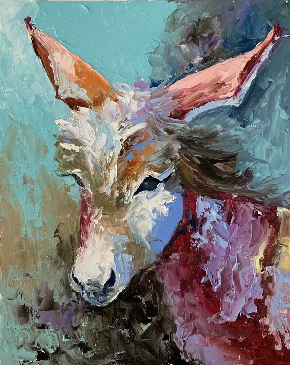 Little donkey. Vita Schagen