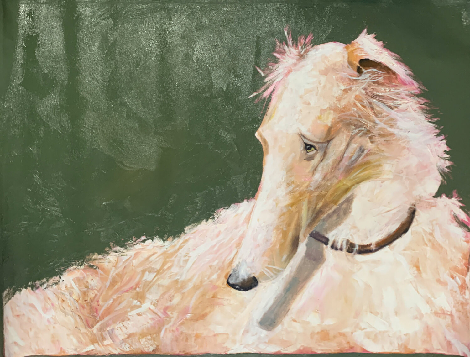 Greyhound. Hound dog. Vita Schagen