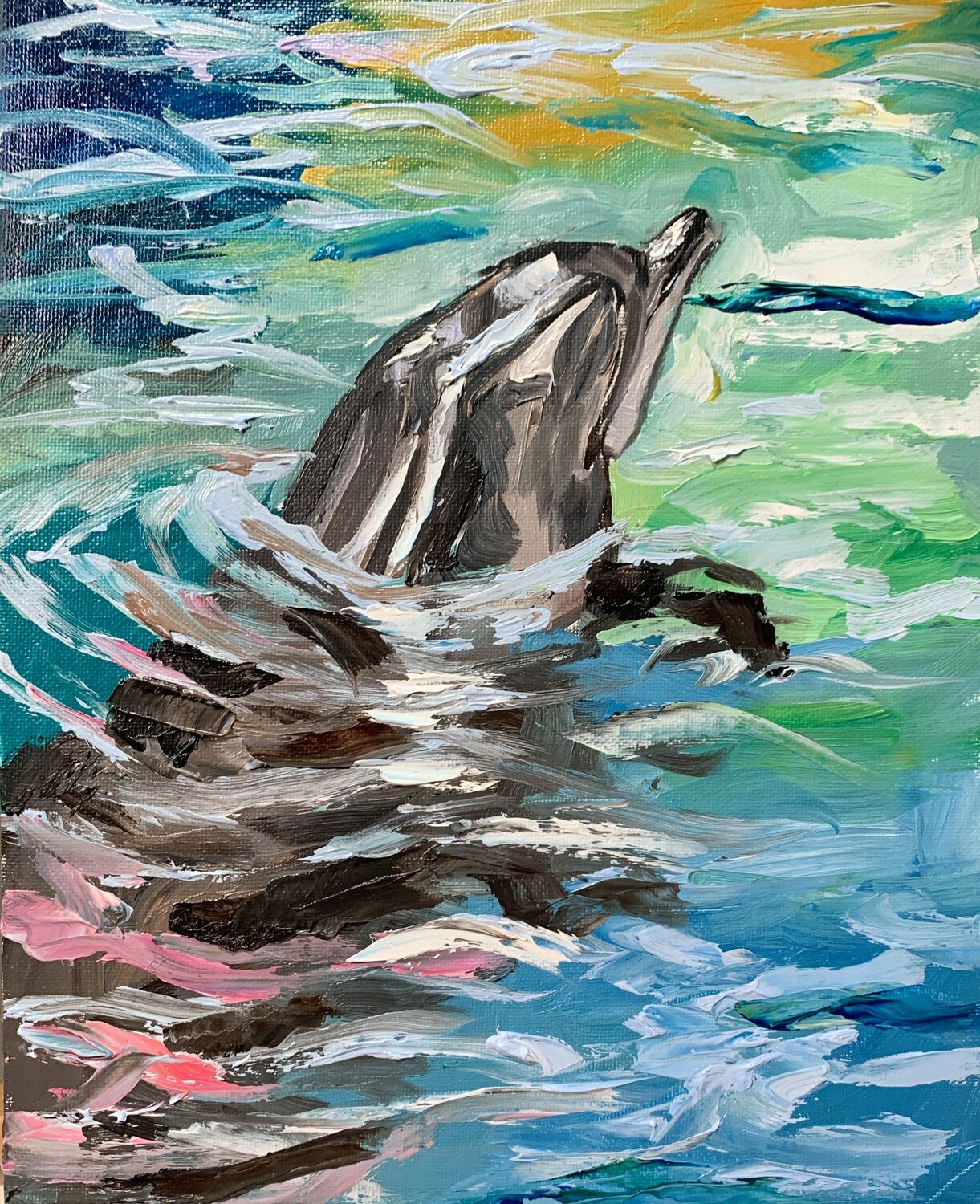 Dolphin. Vita Schagen