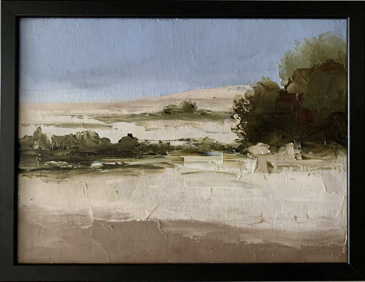 Neutral landscape. Vita Schagen