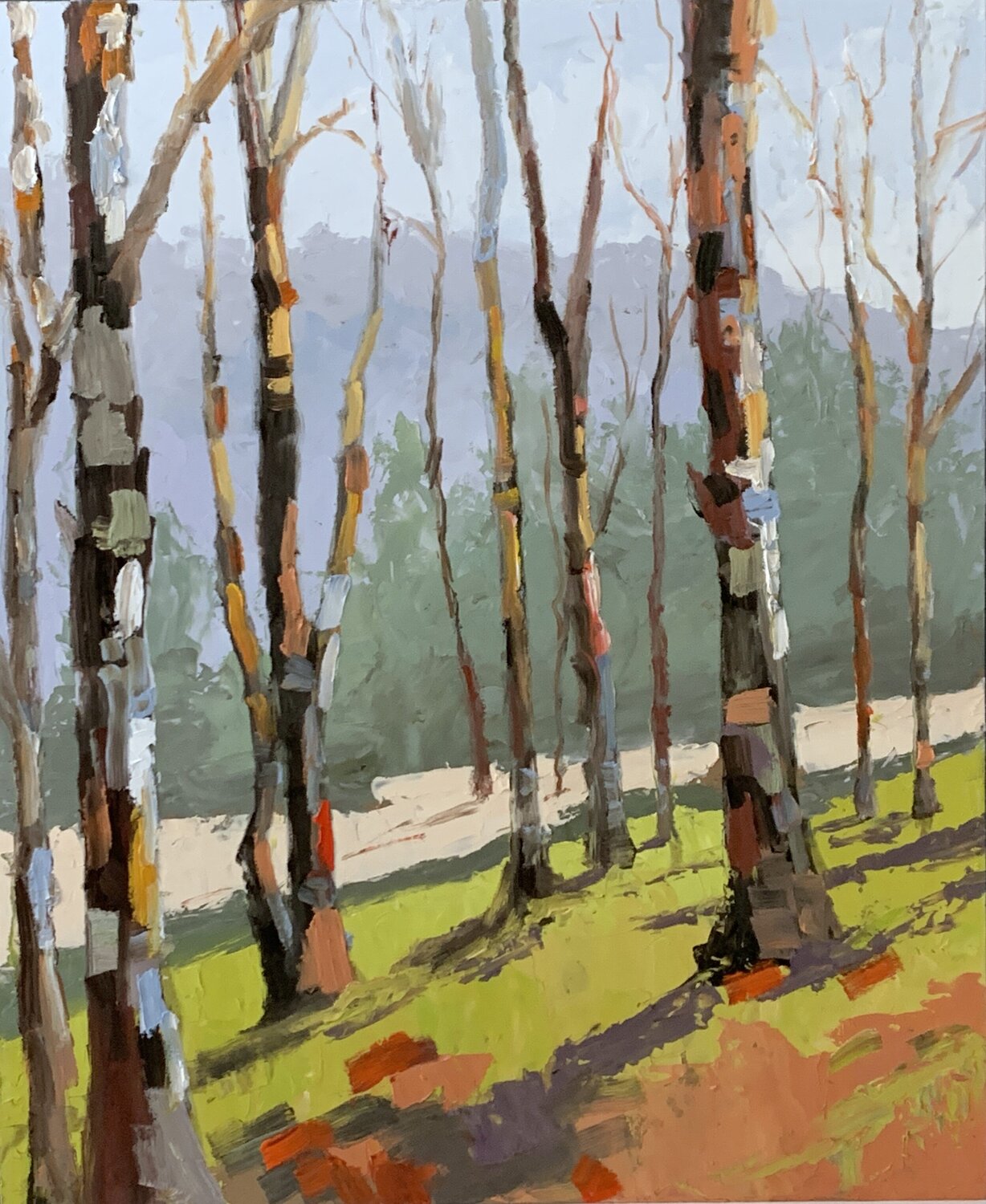 Forest of Sunlit Solace. Vita Schagen