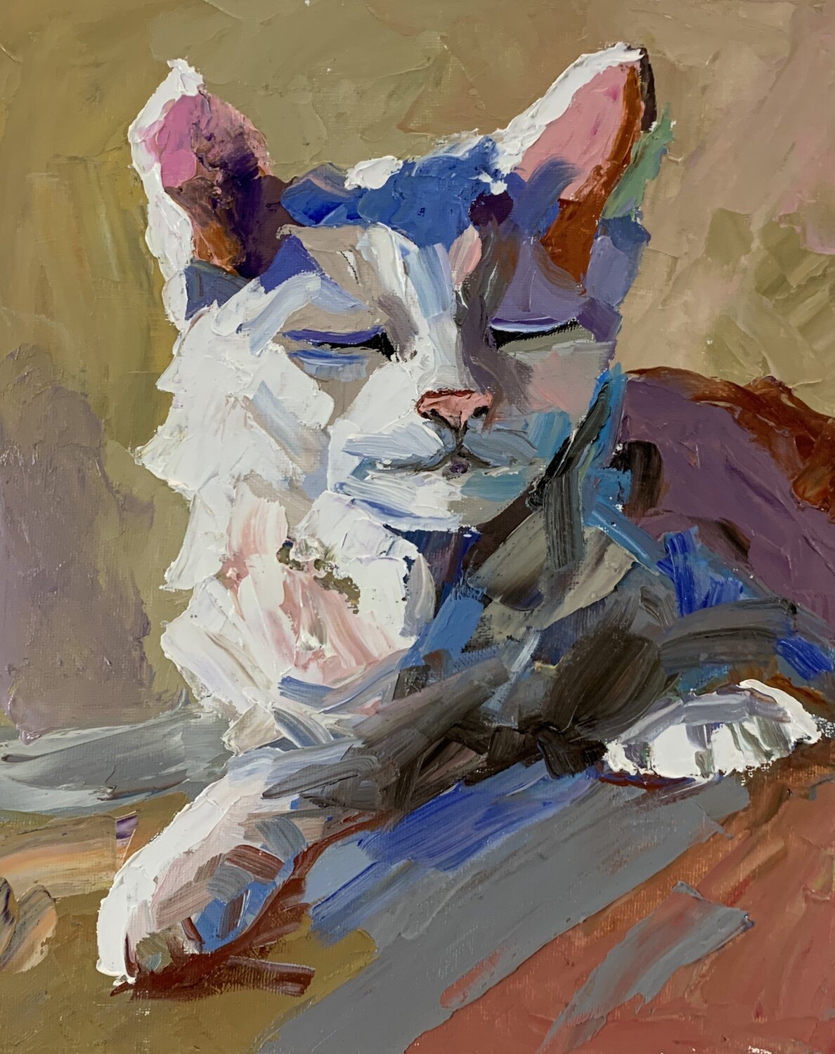 Sleeping White cat. Vita Schagen