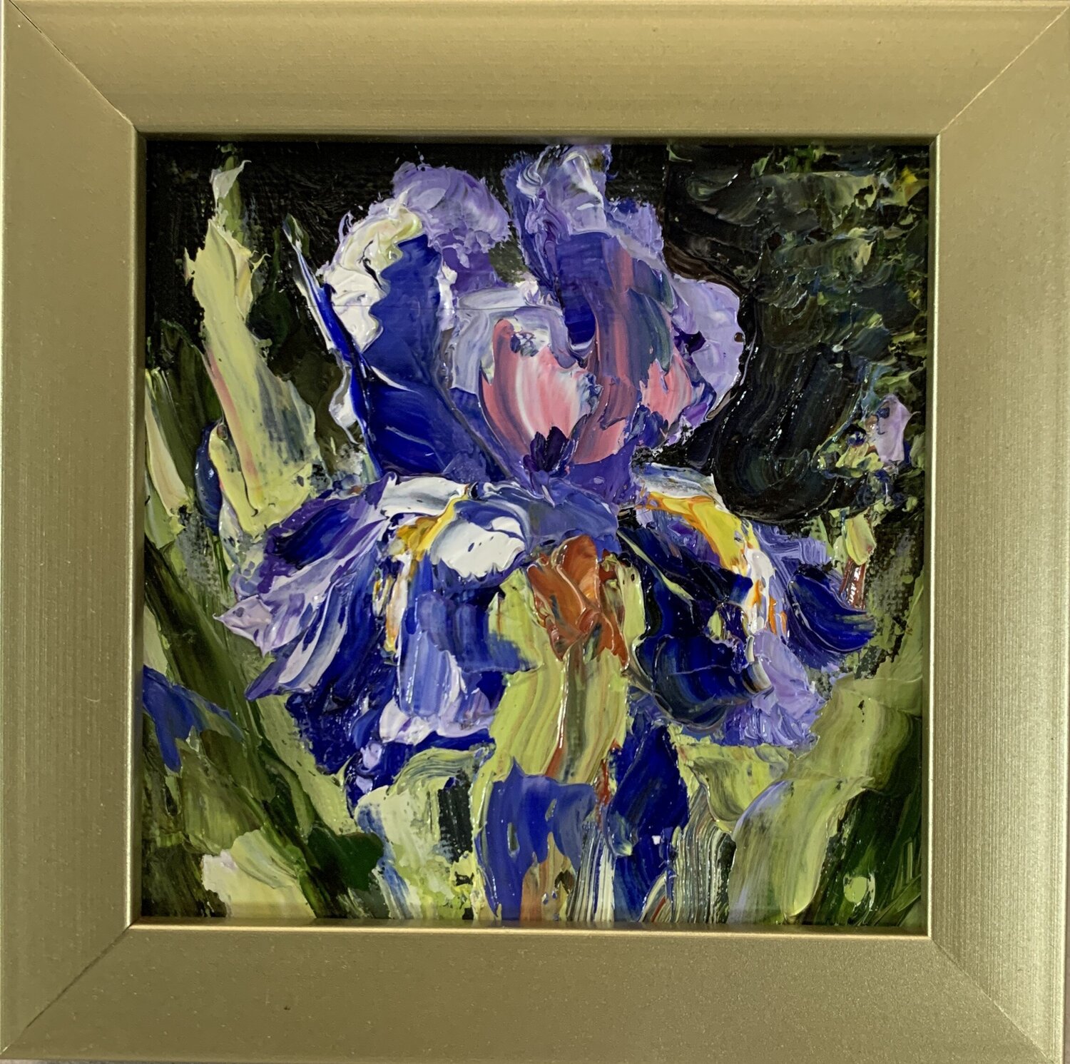 Blue purple Iris flower. Vita Schagen